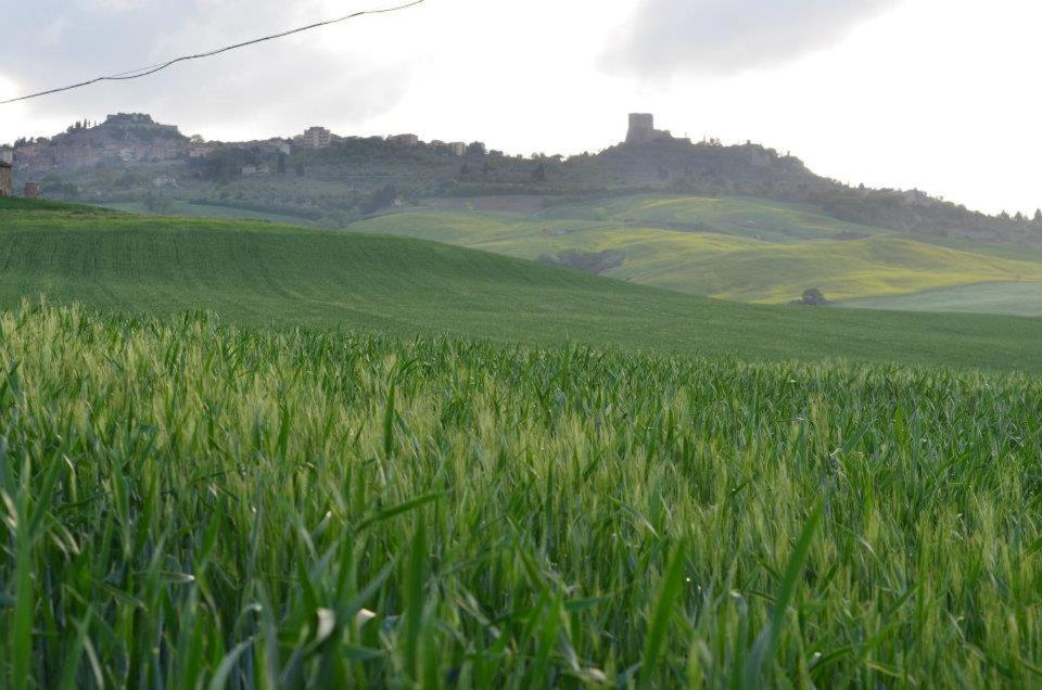 דירות Castiglione dʼOrcia Val D'Orcia Nel Borgo מראה חיצוני תמונה