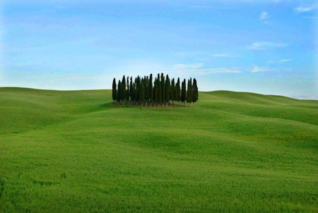 דירות Castiglione dʼOrcia Val D'Orcia Nel Borgo מראה חיצוני תמונה
